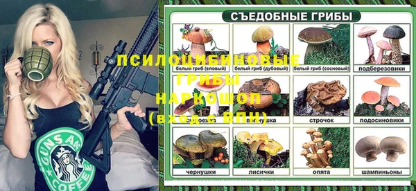 гидропоника Алексеевка