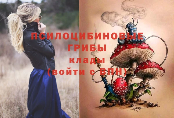 прущие крисы Алзамай